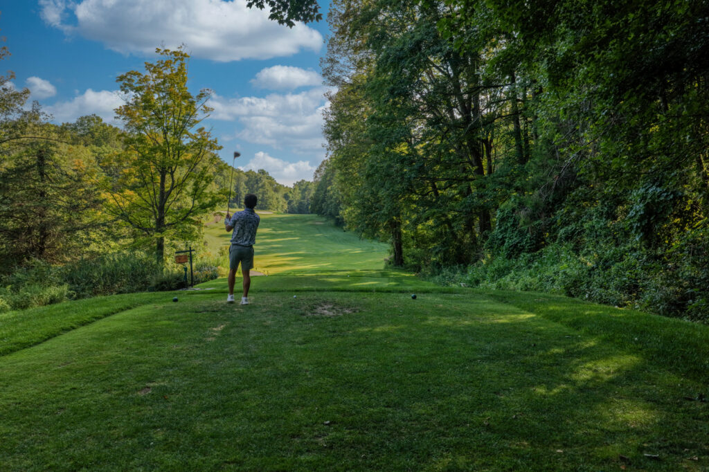 public courses vs private courses