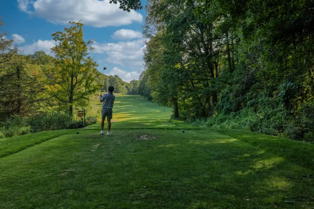 public courses vs private courses