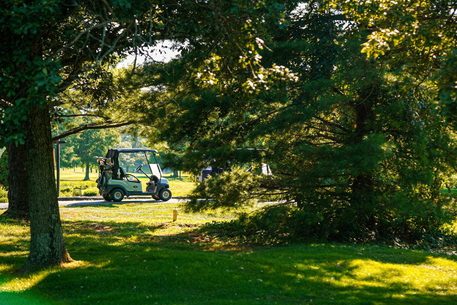 A sunny day at Great Gorge with a golf cart and sunlight shining through the trees.